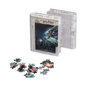 Philos 3D Puzzle Harry Potter & Ron in Sammlerbox, 300 Teile