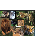 Ambassador Wildkatzen 1000 Teile