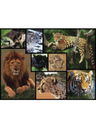 Ambassador Wildkatzen 1000 Teile