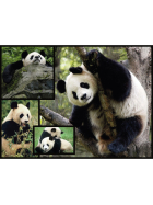 Ambassador Pandas 1000 Teile