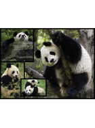 Ambassador Pandas 1000 Teile