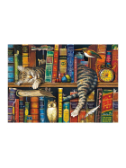 Puzzle Frederick, der Literat, 1000 Teile