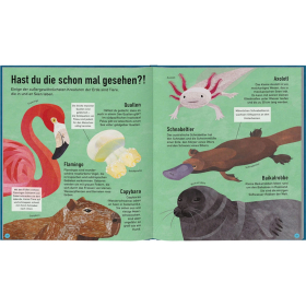Haba Blauer Planet – Das Leben in unseren Ozeanen,...