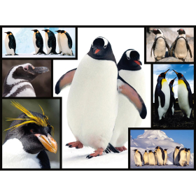 Ambassador Pinguine 1000 Teile
