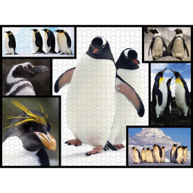 Ambassador Pinguine 1000 Teile