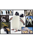 Ambassador Pinguine 1000 Teile