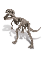 4m Dino Ausgrabungsset - Tyrannosaurus Rex