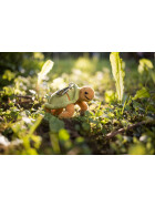 Schaffer -Anh&auml;nger Schildkr&ouml;te Hilde