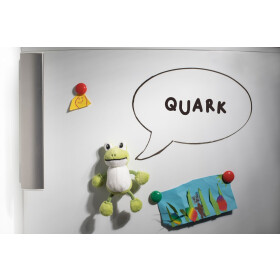 Schaffer -Magnetics Frosch Quark