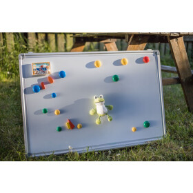 Schaffer -Magnetics Frosch Quark