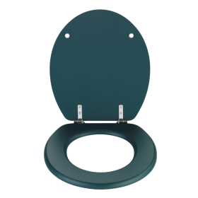 Wenko WC-Sitz Prima dunkelgrün matt