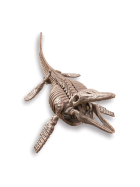 4m Dino Ausgrabungsset - Mosasaurus