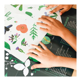 Poppik Sticker Lernposter Botanik