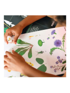 Poppik Sticker Lernposter Botanik