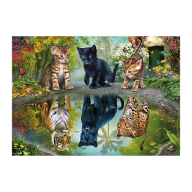 Puzzle Dream Big!, 1000 Teile