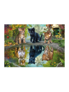 Puzzle Dream Big!, 1000 Teile