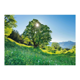 Puzzle Berg-Ahorn im Sonnenlicht St. Gallen, 1000 Teile