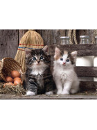 Puzzle K&auml;tzchen, 1000 Teile