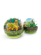 Clementoni Die Welt der fleischfressenden Pflanzen DE