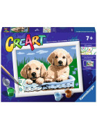Ravensburger CreArt - Malen nach Zahlen - Cute Puppies