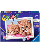 Ravensburger CreArt - Malen nach Zahlen - Feline Friends