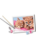 Ravensburger CreArt - Malen nach Zahlen - Feline Friends