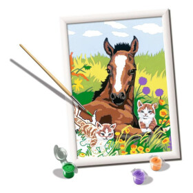 Ravensburger CreArt - Malen nach Zahlen - Forever Friends