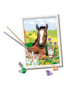 Ravensburger CreArt - Malen nach Zahlen - Forever Friends