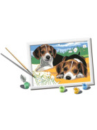 Ravensburger CreArt - Malen nach Zahlen - Jack Russel Puppy