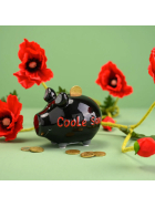 Sparschwein, Coole Sau