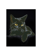 Diamond Painting Schwarze Katze