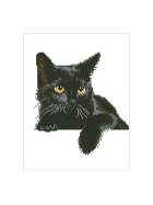 Diamond Painting Schwarze Katze