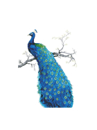 Diamond Painting Blauer Pfau