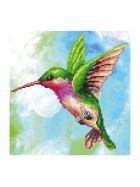 Diamond Painting Kolibri