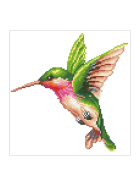 Diamond Painting Kolibri