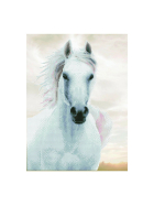 Diamond Painting Pferd weiss