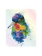 Diamond Painting Regenbogen Vogel