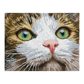 Diamond Painting Katze mit grünen Augen