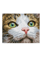 Diamond Painting Katze mit grünen Augen