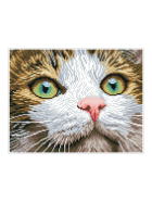 Diamond Painting Katze mit grünen Augen