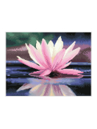 Diamond Painting Seerose