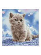 Diamond Painting Katzenbaby