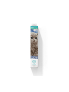 Diamond Painting Katzenbaby