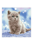 Diamond Painting Katzenbaby