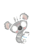 Diamond Painting Koala Wild & Free