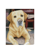 Diamond Painting Labrador
