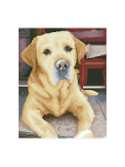 Diamond Painting Labrador