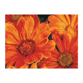 Diamond Painting Mittagsblume