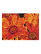Diamond Painting Mittagsblume