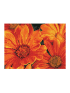 Diamond Painting Mittagsblume